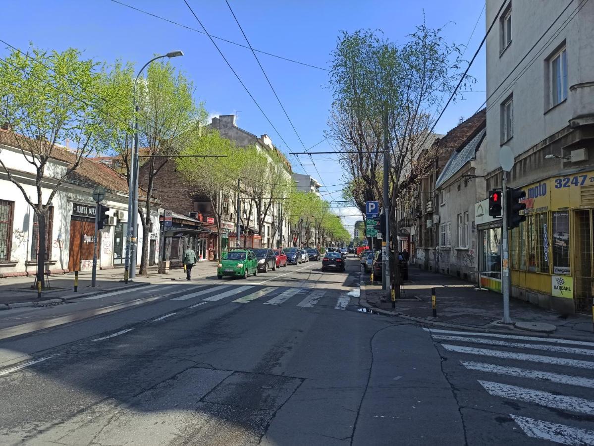 Appartamento Apartman Silvana Belgrado Esterno foto